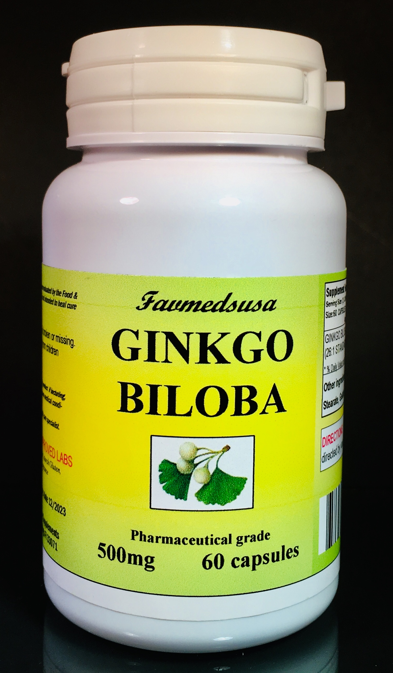 Ginkgo Biloba 500mg - 60 capsules